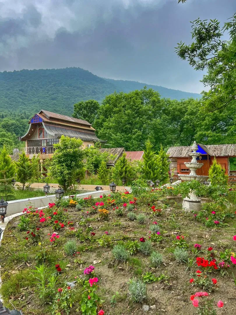 هتل کاخ  امیران چالوس