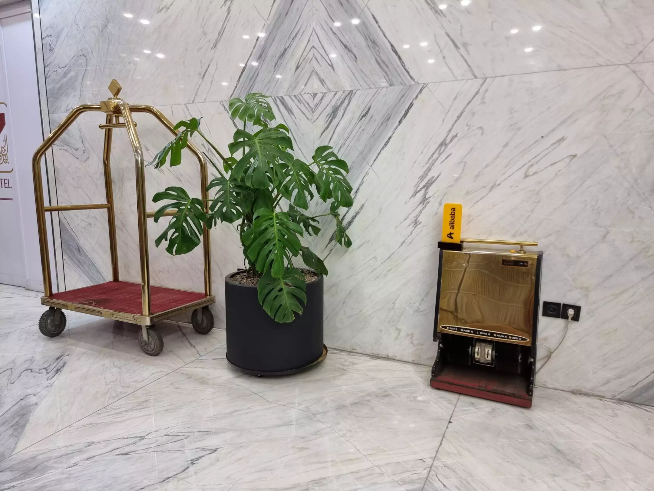 چمدانبر طلایی و گلدان در فضای داخلی هتل خورشید