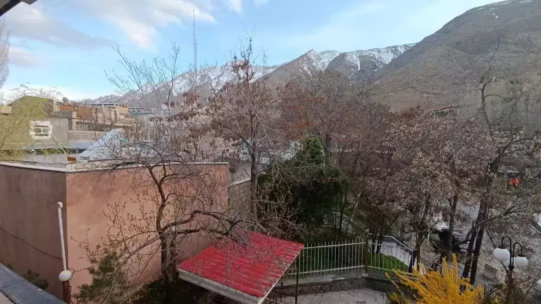 نمای درختان و کوهستان برفی کنار جهانگرد
