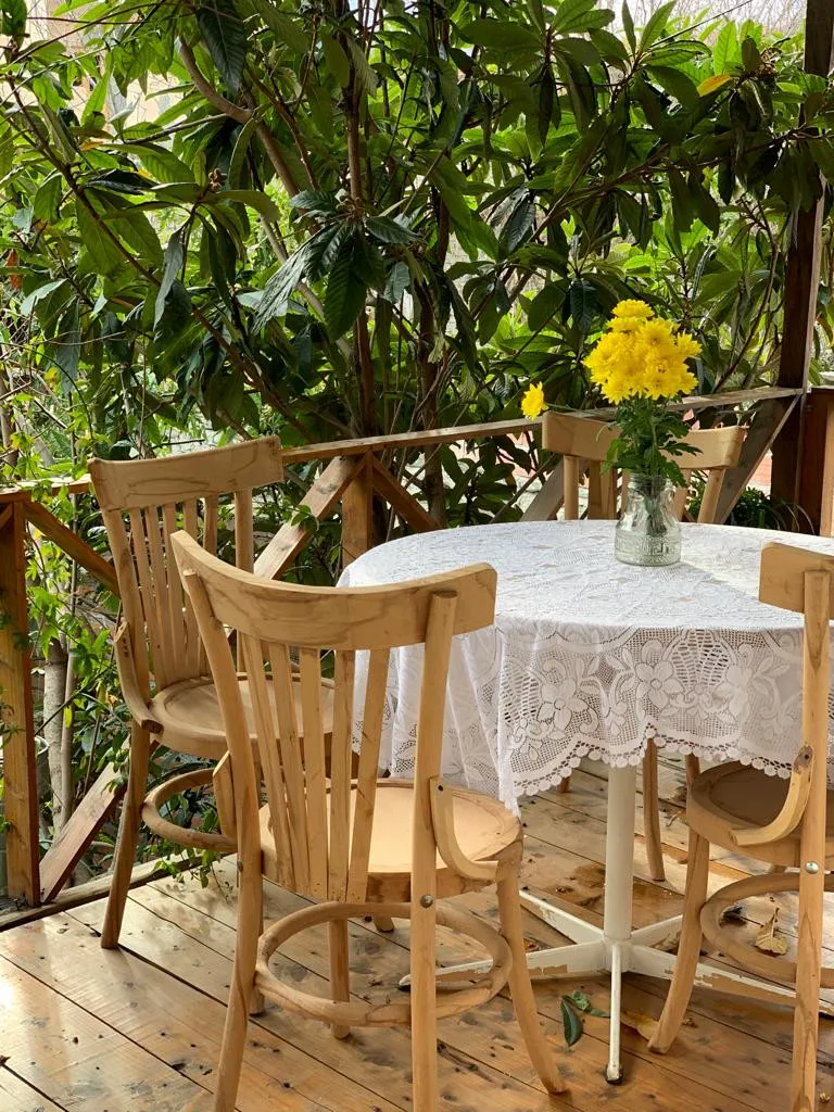 میز گرد چوبی در فضای سبز اقامتگاه آوش
