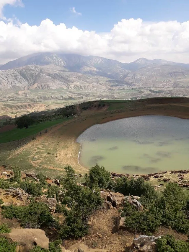 حوضچه طبیعی و گله دام در کوهستان وامنان