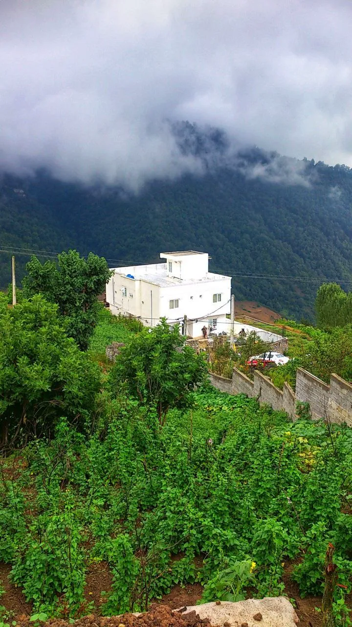 نمای هتل خلوت آرام میان درختان کوهستانی