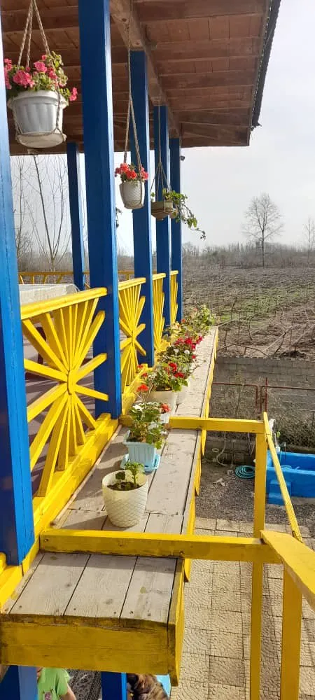 ایوان زرد و آبی اقامتگاه داروک با گلدان‌های آویزان